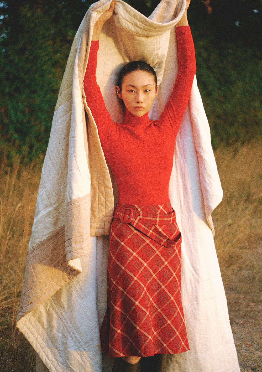 wawa li