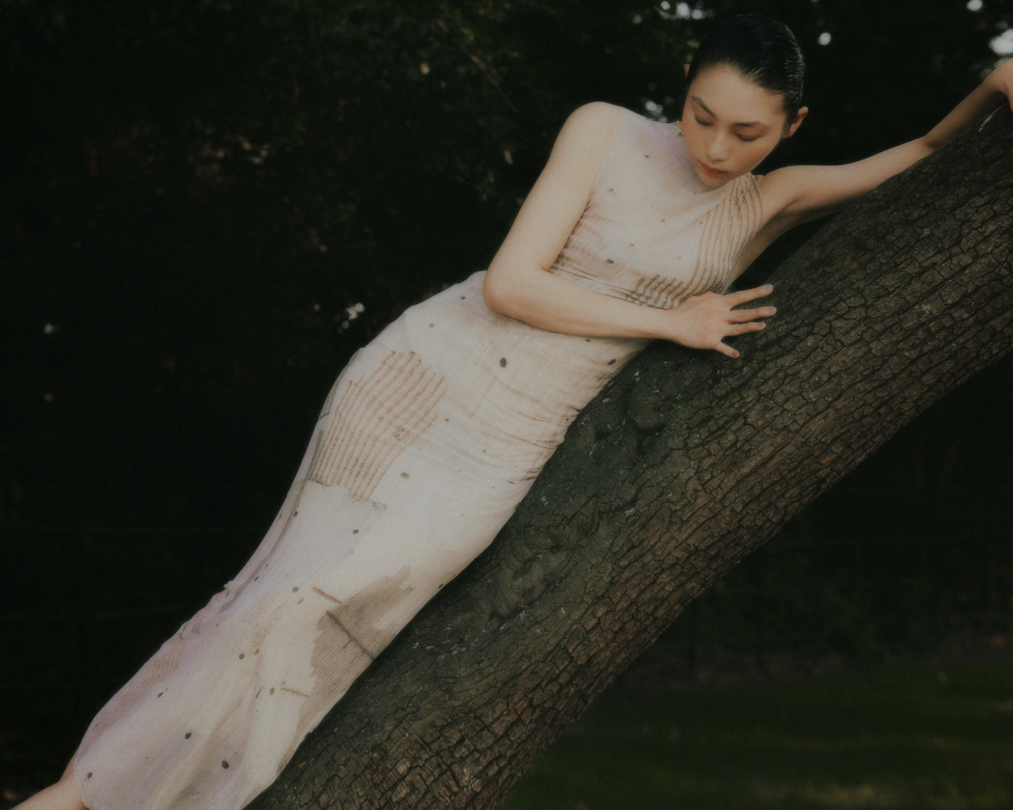 wawa li