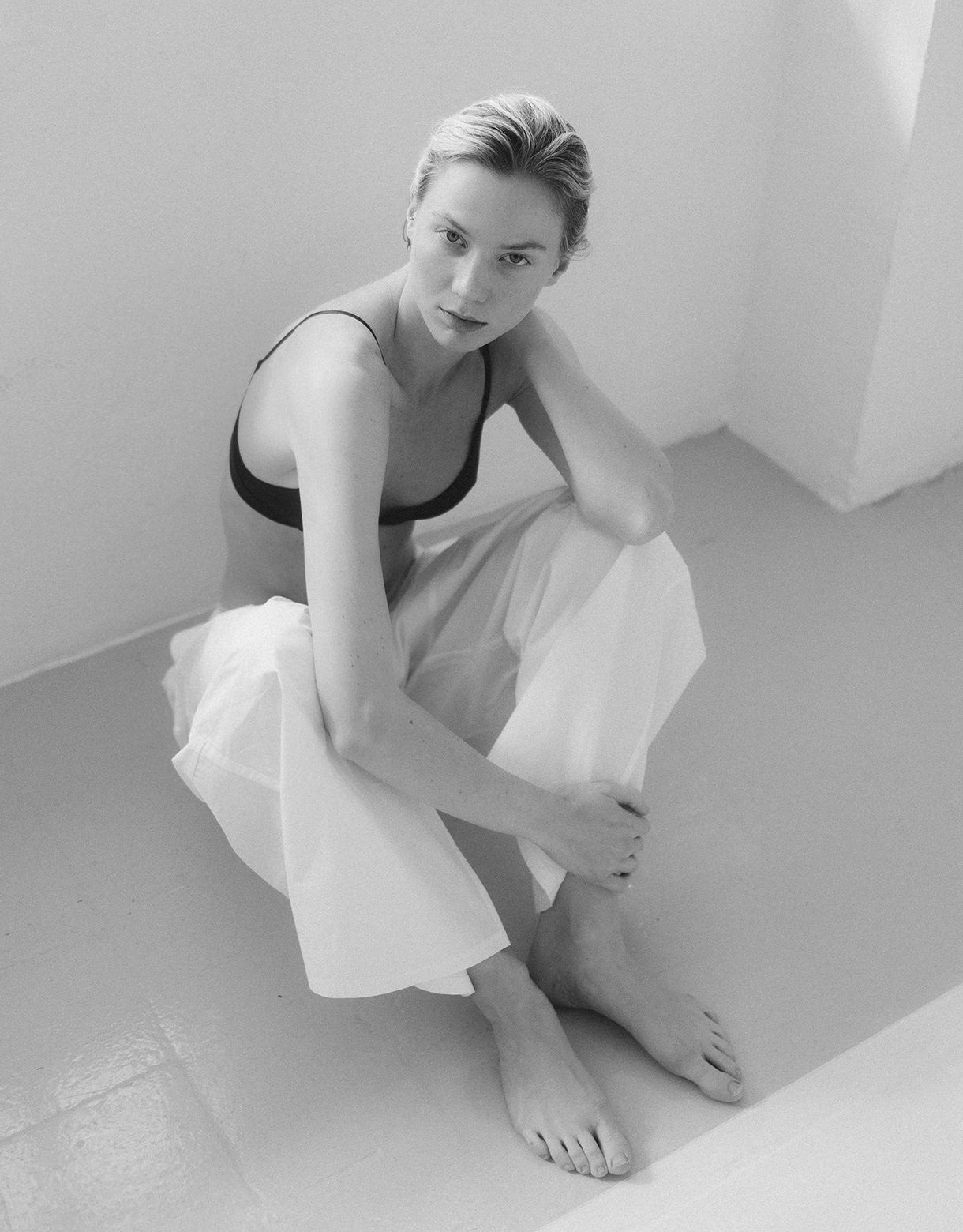 avalon kip