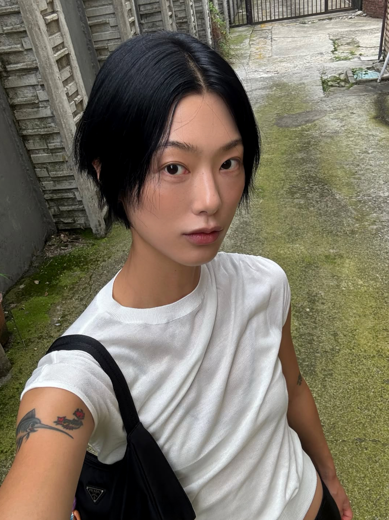 dahye lim