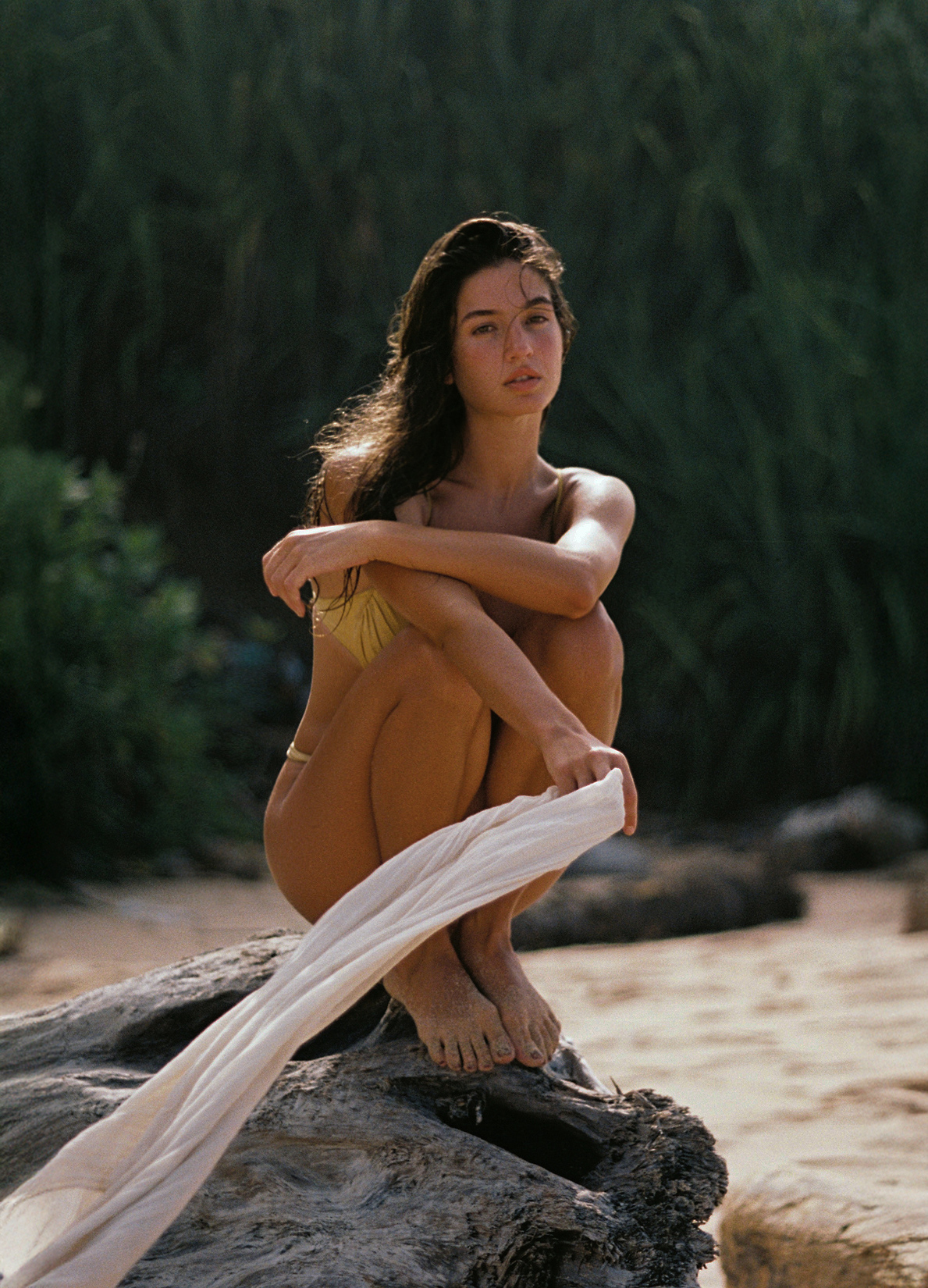 claudia torrego