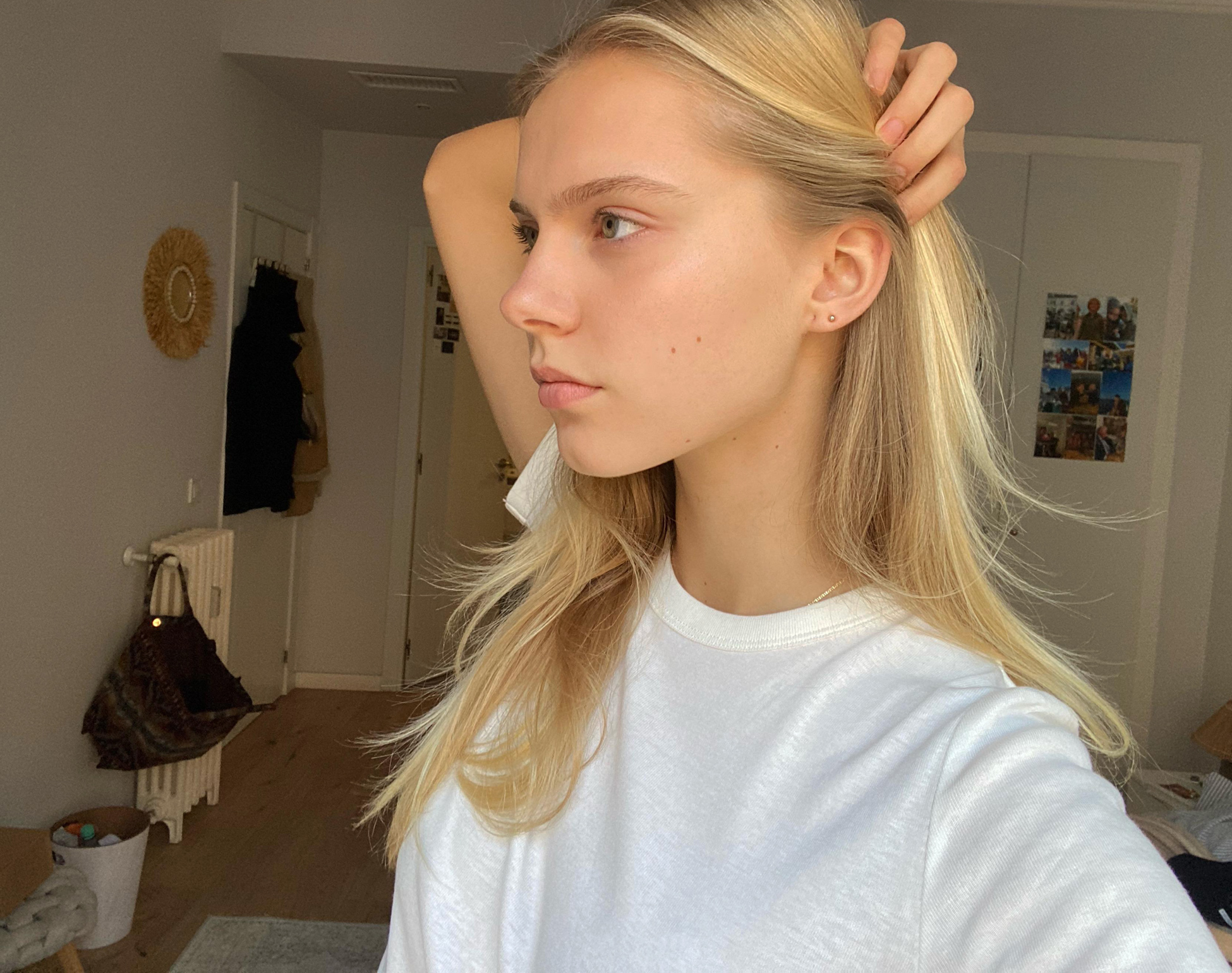 carlota ey