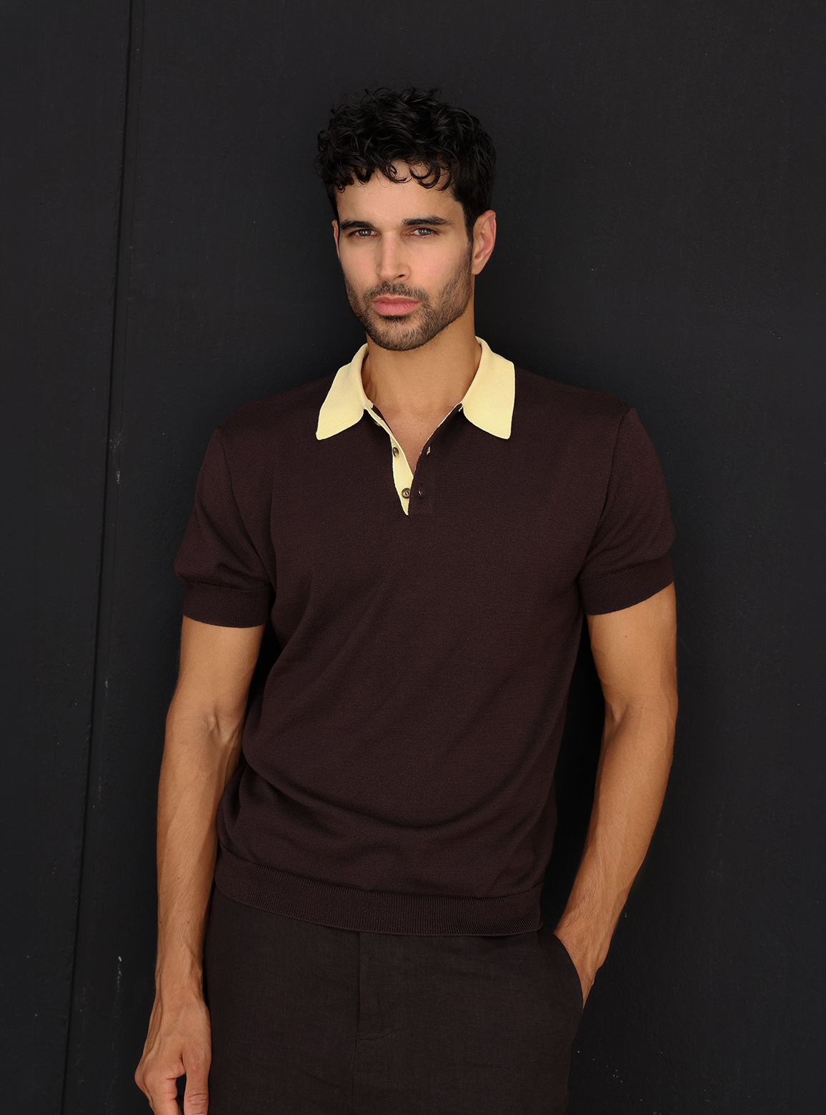 ruy andrade