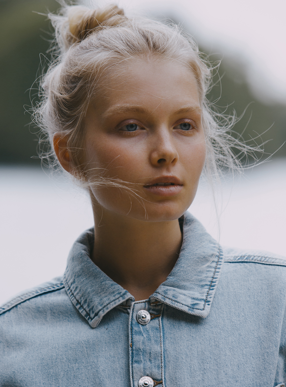 lilly lindfors
